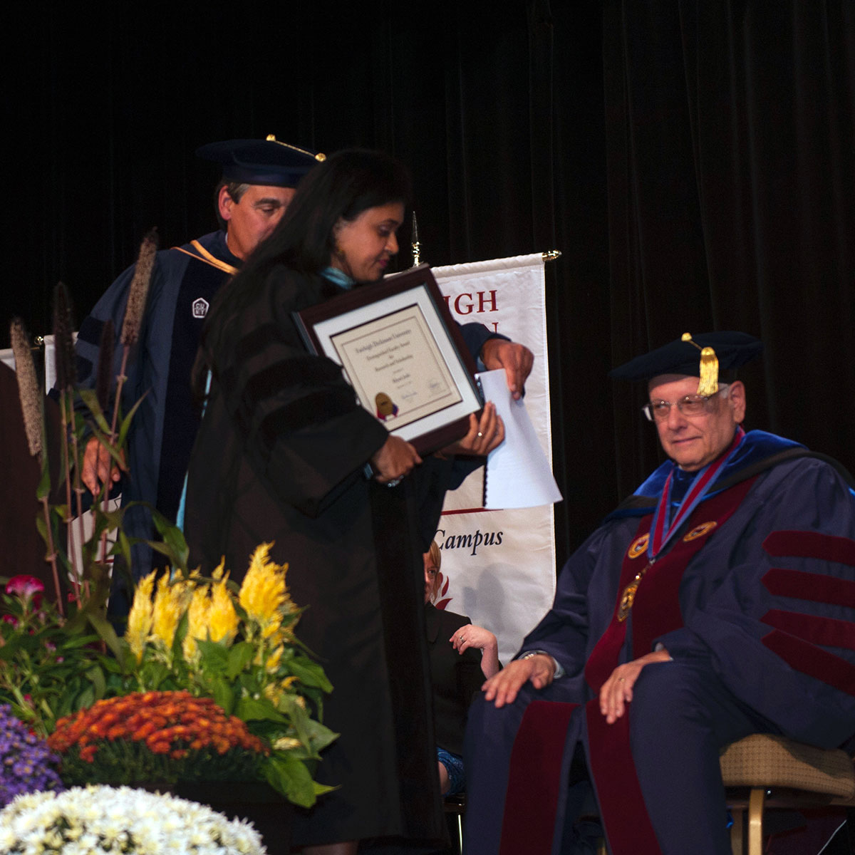 Prof. Khyati Y. Joshi accepting the Distinguished Faculty Award for Research & Scholarshop at Fairleigh Dickinson University in 2014.